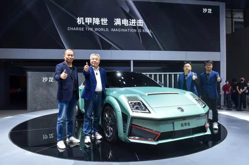 为中国的新能源变革之路添砖加彩